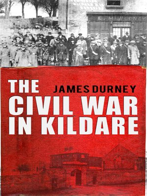 cover image of The Civil War in Kildare
